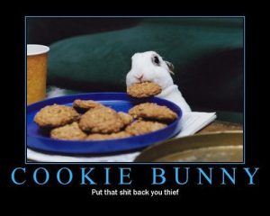 cookie-bunny-thief