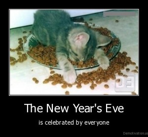 demotivation.us__The-New-Years-Eve-is-celebrated-by-everyone-1