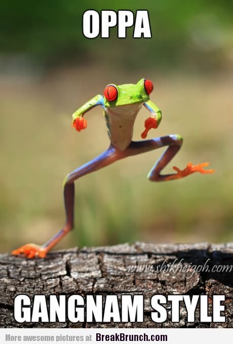 oppa-gangnam-style-funny-frog-picture