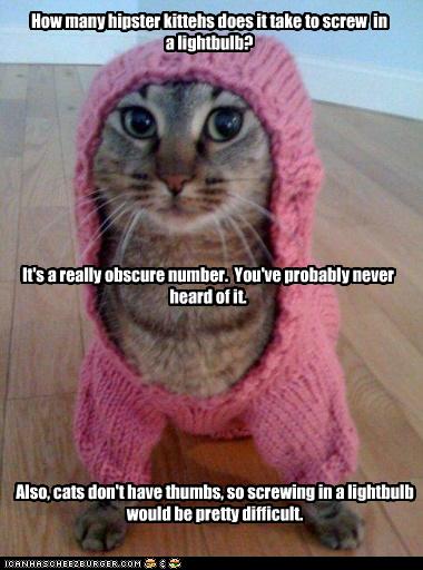hipster-lolcat
