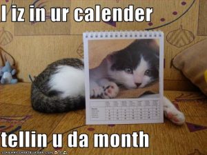 kitten-is-in-your-calendar