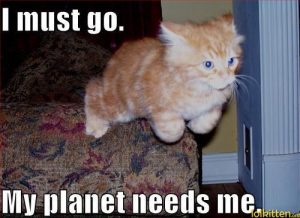 funny-cat-lolcat-my-planet-needs-me