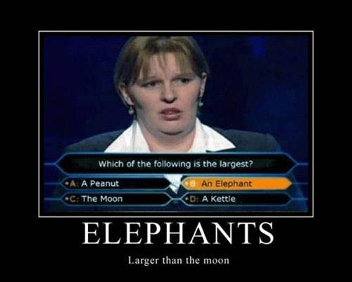 elephant-larger-than-the-moon