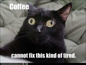 lolcat-tired
