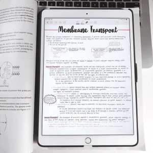 Les 6 Meilleures Tablettes De Prise De Note Manuscrite !